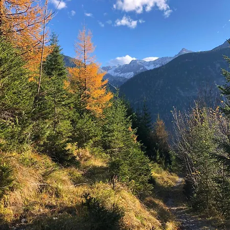 לינה וארוחת בוקר Haus Walch 3*