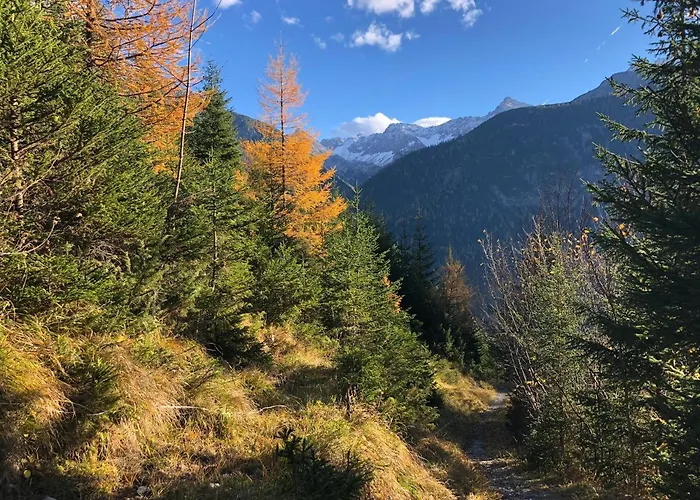 Bed & Breakfast Haus Walch 3*